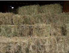 СЕНО! ТЮК СЕНО!ПРОДАЖА