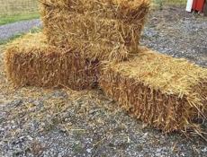 СЕНО! ТЮК СЕНО!ПРОДАЖА