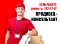 Продавец-консультант