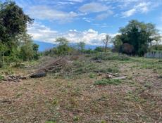 продаю участок