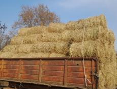 Сено в тюках 20 кг