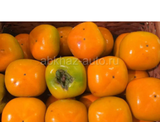 Хурма Плоски 