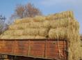 Сено в тюках 