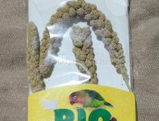 Продам хомяка с террариумом