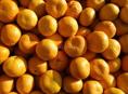 Срочно Мандариныы