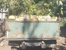 Дрова Ахьаца Граб 25-30ты связь 9961888