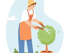 Ищу садовника )