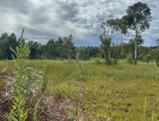 Красный крест 6 соток