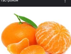 Сбор мандаринов 