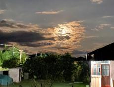 iPhone 8 Plus обмен на 10-й писать WhatsApp