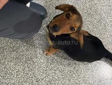 КТО ПОТЕРЯЛ ??? 