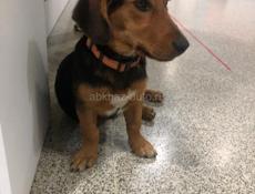 КТО ПОТЕРЯЛ ??? 