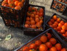 Продаю хурму бычью сердце по 50 р за 1 кг 