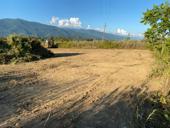 Очень срочно‼️