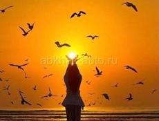 На сегодня пойдём на сбор мандаринов!