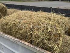 Тюки, Разнотравье доставка