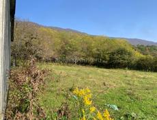 Участок 45 соток с двумя домами