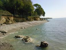 Продается Земельный Участок под Любые Проекты 