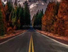 Хурма плоская