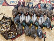 Чучела уток 