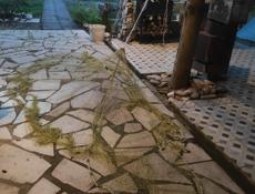 Сеть для рыбалки, типа Паук