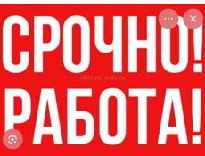 Срочно ищу работу!!!!
