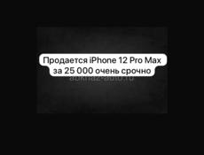 iPhone 12 Pro Max