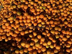 Продаётся 2 этажный дом