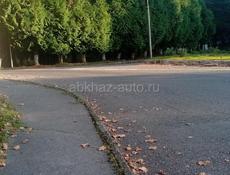 Пойдём на сбор мандаринов!