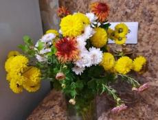 Няня со стажем  16-лет