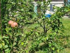 Продается дом в Агудзере 🌞