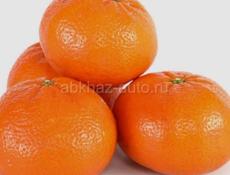 Мандарины 