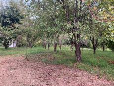 Сдам трехэтажный дом 