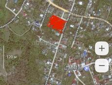 Цандрипш 3,2🍋 4 соток . 