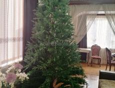 Ёлка 2.7м новая