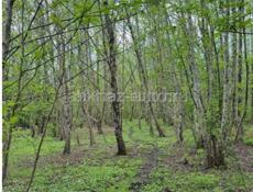 Земельный участок 