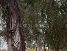 Продаю в Агудзера 2 х квартиру с высокими потолками