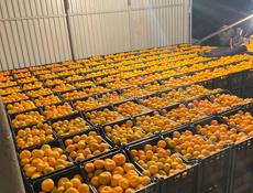 🍊МАНДАРИН🍊Читать внимательно