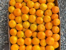 🍊МАНДАРИН🍊Читать внимательно