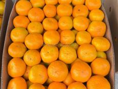 🍊МАНДАРИН🍊Читать внимательно