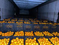 🍊МАНДАРИН🍊Читать внимательно