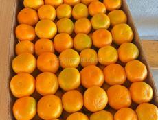 🍊МАНДАРИН🍊Читать внимательно