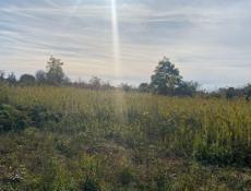 Маяк 6 соток , без торга 1🍋