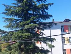 Квартира помесячно в центре Гагры