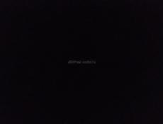 Создам бота