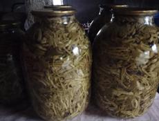 колючки( апарчпан)