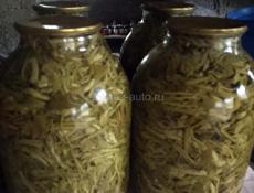  колючки( апарчпан)