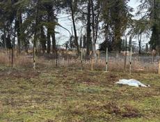 Абовяна 500 метров от моря