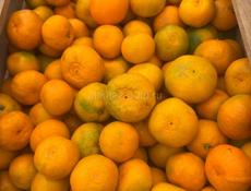 Мандарины