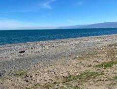 Ищу работу удаленно 